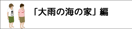 ��J�̊C�̉�